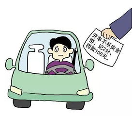 孕妇驾车，安全与法律的考量