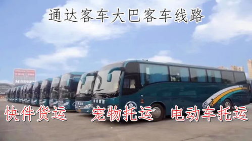 青岛至鸡西汽车长途旅行指南
