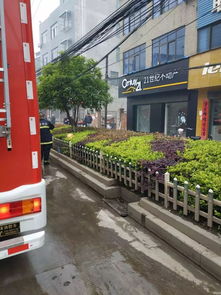 汉川至马口汽车电话咨询