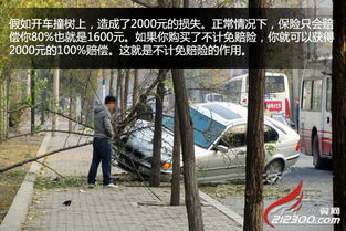 汽车不计免赔险费用详解 汽车不计免赔险费用详解