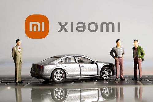 儿童小汽车车头价格多少？揭秘市场中的选择与价值