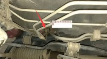 汽车循环水管的使用寿命与更换周期