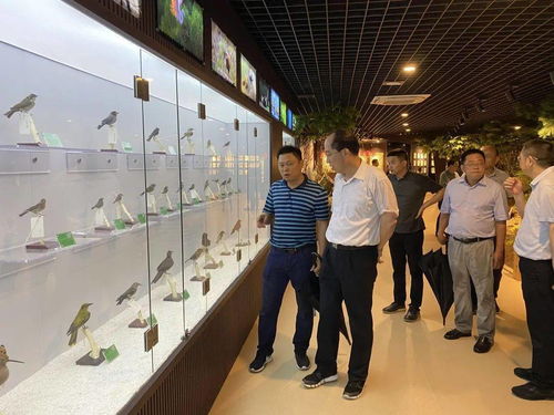汽车冷启动保护技术与温度控制
