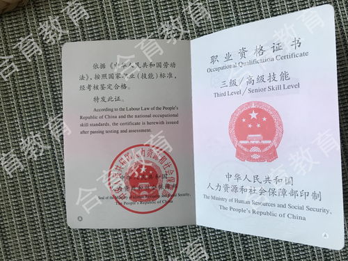 汽车维修师证的价格解析与市场调研