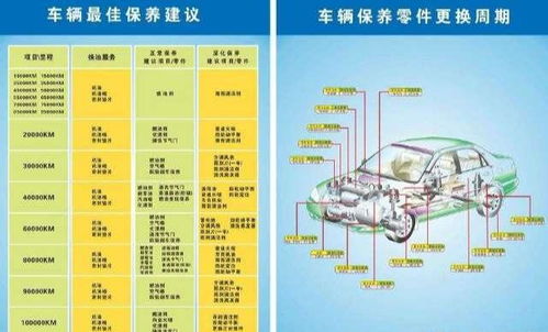 汽车日常维护中的机油消耗与更换频率