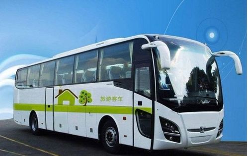 上海到岳西的汽车票价解析