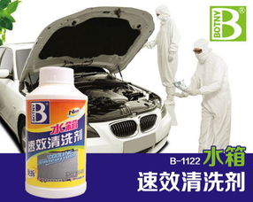 汽车水箱清洗剂的价格详解