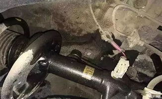 黄冈汽车减震改装费用详解