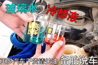 汽车燃气清洗液的种类与价格分析