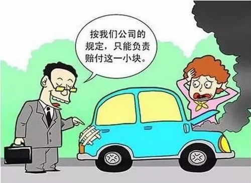 全国汽车出险率的调查与分析