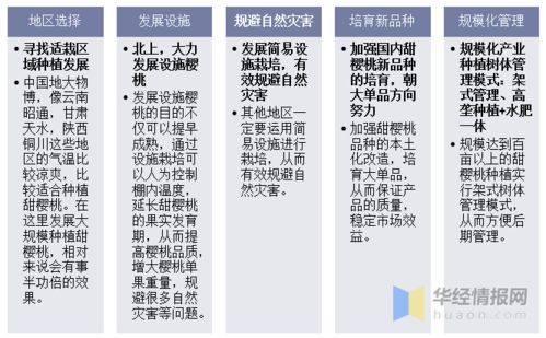 钟祥到枝江的交通成本分析与经济可行性研究