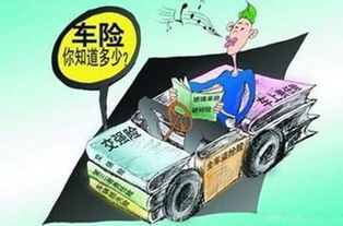 汽车保险五年行驶里程，一份详尽的投保指南