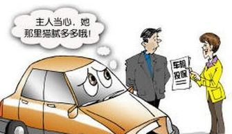 汽车责任险,如何确定合适的保额以保障您的权益 汽车责任险,如何确定合适的保额以保障您的权益