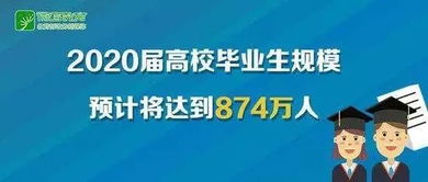 2024年高校毕业生人数突破1222万，就业压力空前严峻