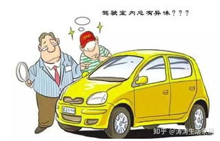 介绍奉化区汽车除甲醛的常见方式和方法