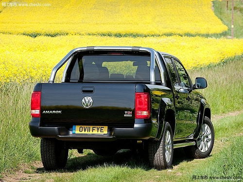 大众（Volkswagen）