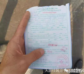 吕梁市泰化汽车年检费用详解