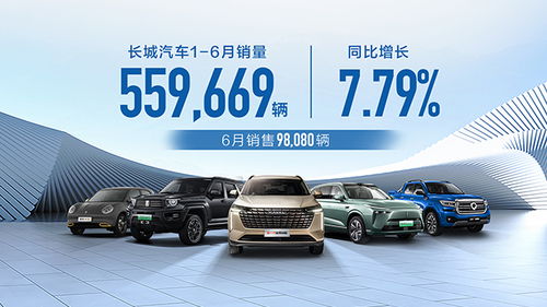 长城汽车海外补助多少