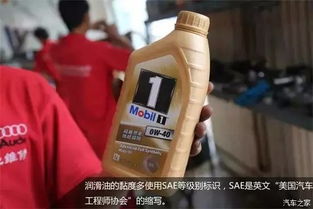 汽车使用机油的种类与数量
