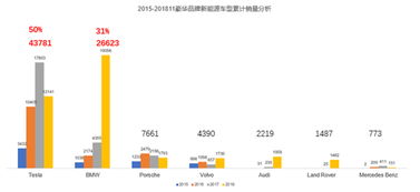 汽车品牌与加油费用的比较分析