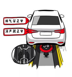 六年新车年检费用分析