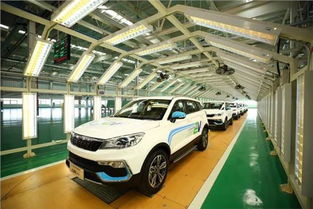 猎豹汽车，中国新能源汽车市场的领军者