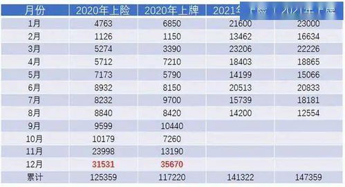 上海的汽车牌照数量