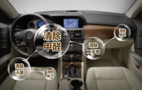 了解云南汽车甲醛检测费用，保持车内空气质量健康