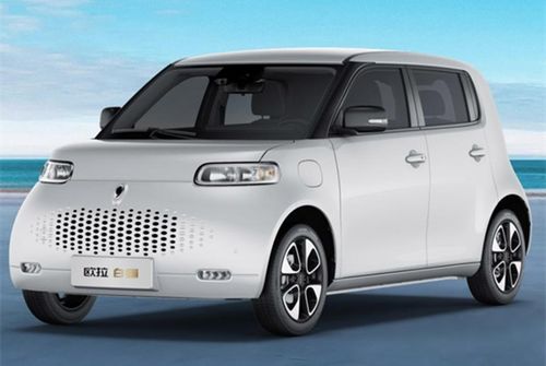 鸿日电动汽车的价格与选择
