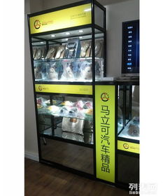 哈尔滨汽车展柜的定价与选择指南