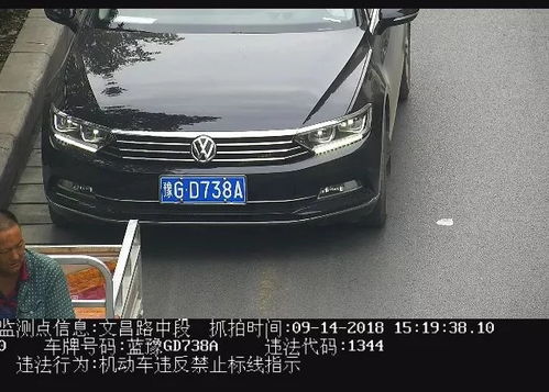 辉县市的汽车数量