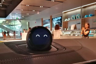 上海蔚来汽车店的开店费用详解