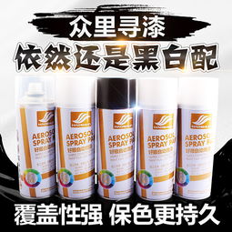 汽车喷漆白色小瓶的价格解析与选择指南