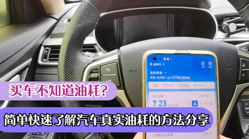 如何准确查询车辆里程和油耗