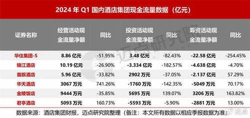 探岳汽车的财务表现与盈利能力分析