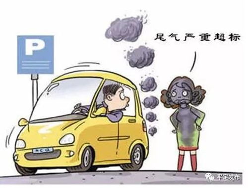 汽车撞人后需承担的法律责任和赔偿金额