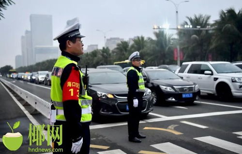 海南交警公布三起典型交通事故案例