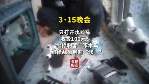 维修刺客啄木鸟，开水龙头收100