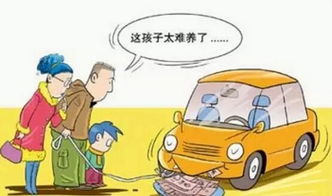 亳州汽车胶条老化维修费用分析与建议