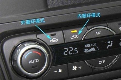 汽车空调杀菌检测费用详解，维护车内环境健康的一站式服务
