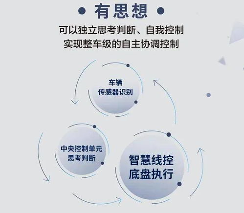 汽车制动响应时间，理解其重要性和影响因素