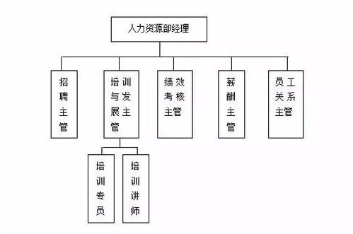 众泰汽车的组织架构与人力资源管理现状