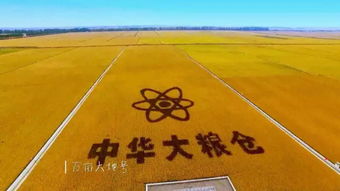 起步平稳，迈向新的希望与繁荣