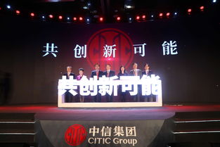 坦城集团，探索新能源与创新的未来之路