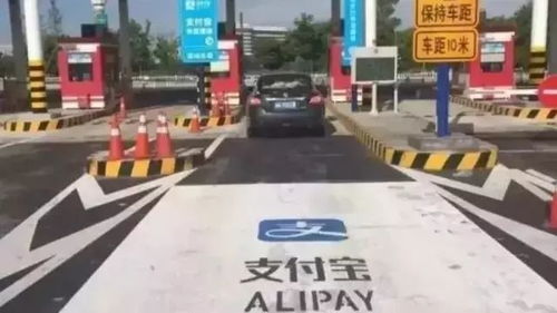 杭城车主的福音！详解杭州汽车升降尾板的价格行情与选择技巧