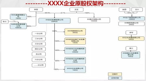 大华控股有限公司的股权结构解析