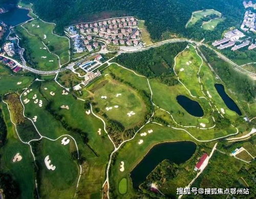 马鞍山汽车镀银价格解析与选购指南