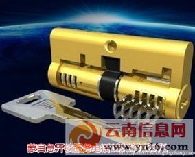 涧西区开汽车防盗锁的费用分析