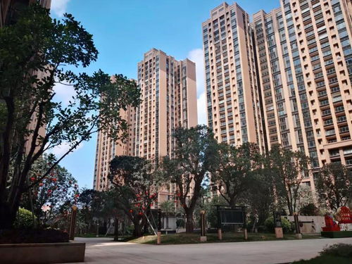 江宁汽车城周边房价行情解析