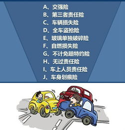 汽车保险送全险多少钱